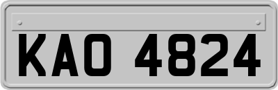 KAO4824