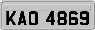 KAO4869