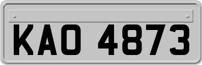 KAO4873