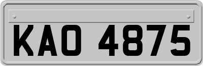 KAO4875