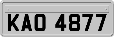 KAO4877