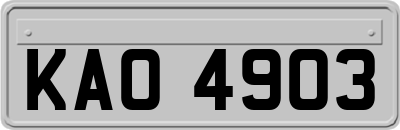 KAO4903