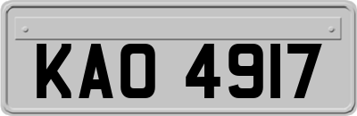 KAO4917
