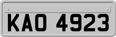 KAO4923