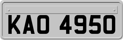 KAO4950