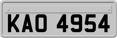 KAO4954