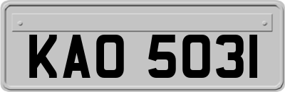 KAO5031