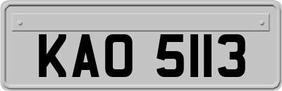 KAO5113