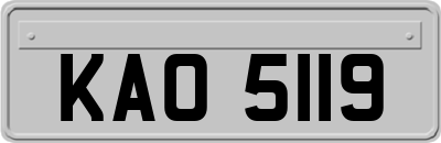 KAO5119