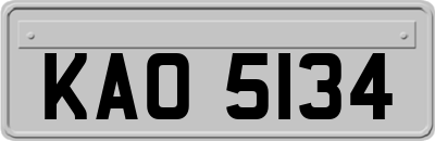 KAO5134