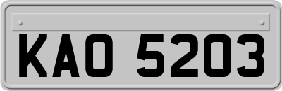 KAO5203