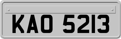 KAO5213