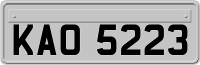 KAO5223