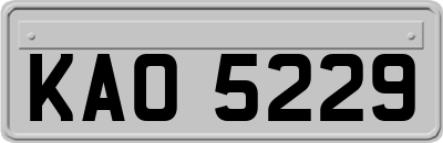 KAO5229