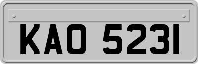KAO5231