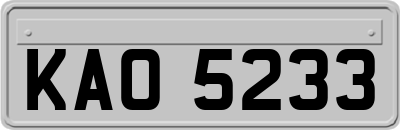 KAO5233