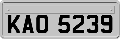 KAO5239