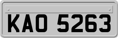 KAO5263