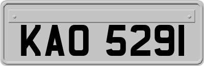 KAO5291