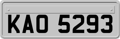 KAO5293