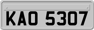 KAO5307
