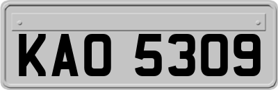 KAO5309