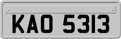 KAO5313