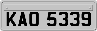 KAO5339