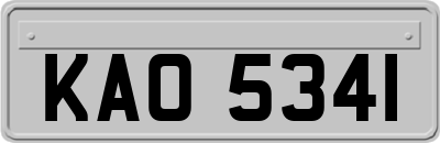 KAO5341