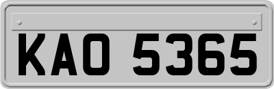 KAO5365