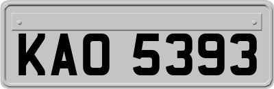 KAO5393