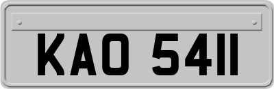 KAO5411