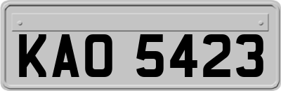 KAO5423