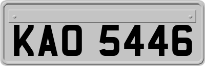 KAO5446