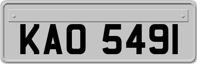 KAO5491