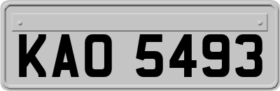 KAO5493