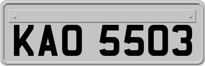 KAO5503