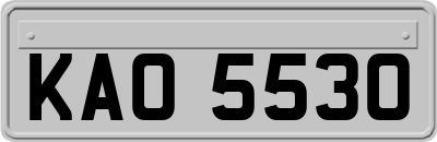 KAO5530