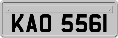 KAO5561