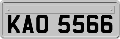 KAO5566