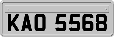 KAO5568