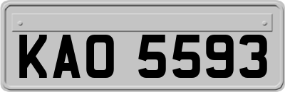 KAO5593