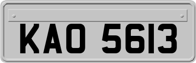 KAO5613