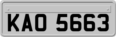 KAO5663