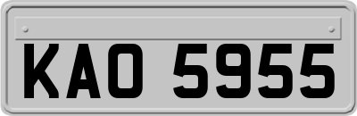 KAO5955