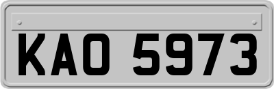 KAO5973