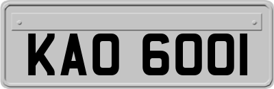 KAO6001