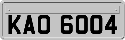 KAO6004