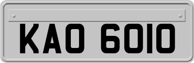 KAO6010