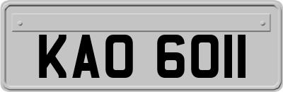 KAO6011